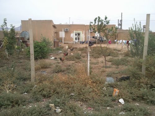 Kızıltepe Çitlibağ Köyü Resimleri 1