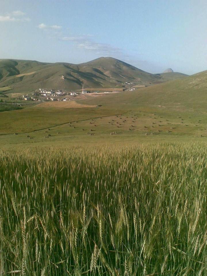 Horasan Ağıllı Köyü Resimleri 10