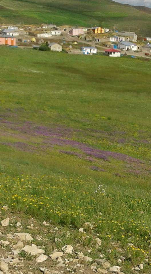 Horasan Ağıllı Köyü Resimleri 11