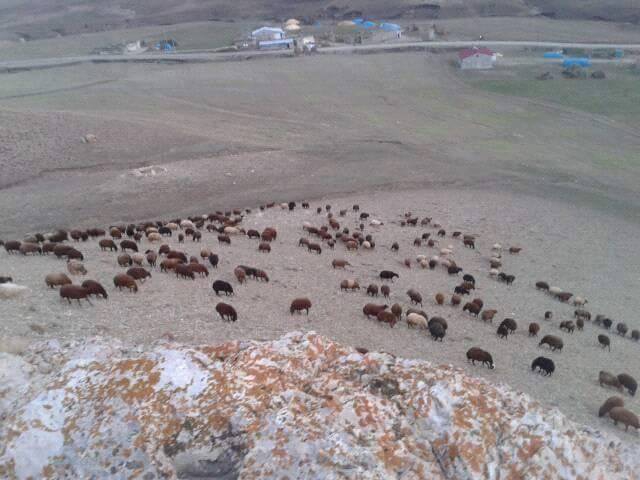 Horasan Ağıllı Köyü Resimleri 5