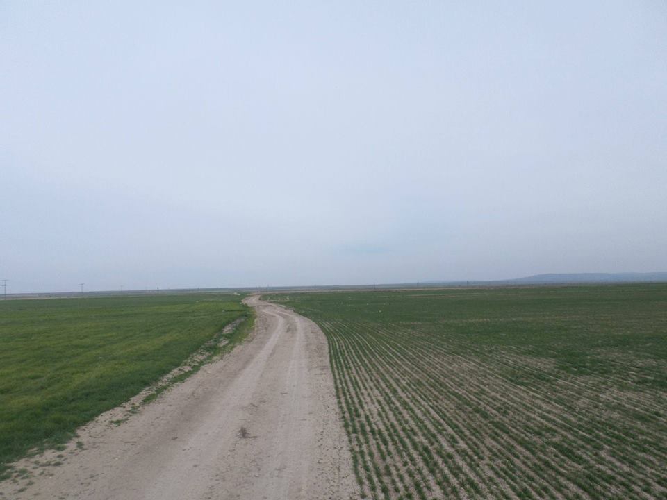 Afyon Emirdağ Yeniköy Resimleri 12