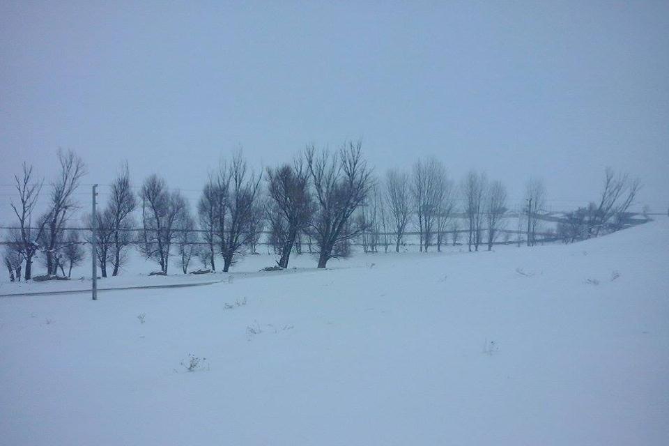 Afyon Emirdağ Yeniköy Resimleri 14