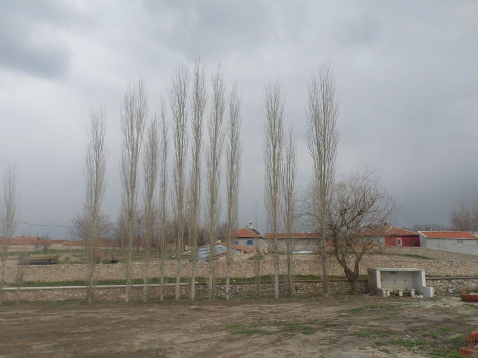 Afyon Emirdağ Yeniköy Resimleri 18