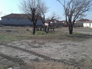 Afyon Emirdağ Yeniköy Resimleri