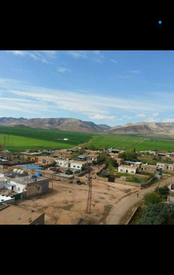 Kızıltepe Demet Köyü Resimleri 1