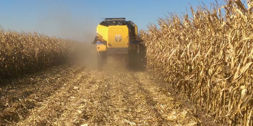 Kızıltepe Demirci Köyü Resimleri