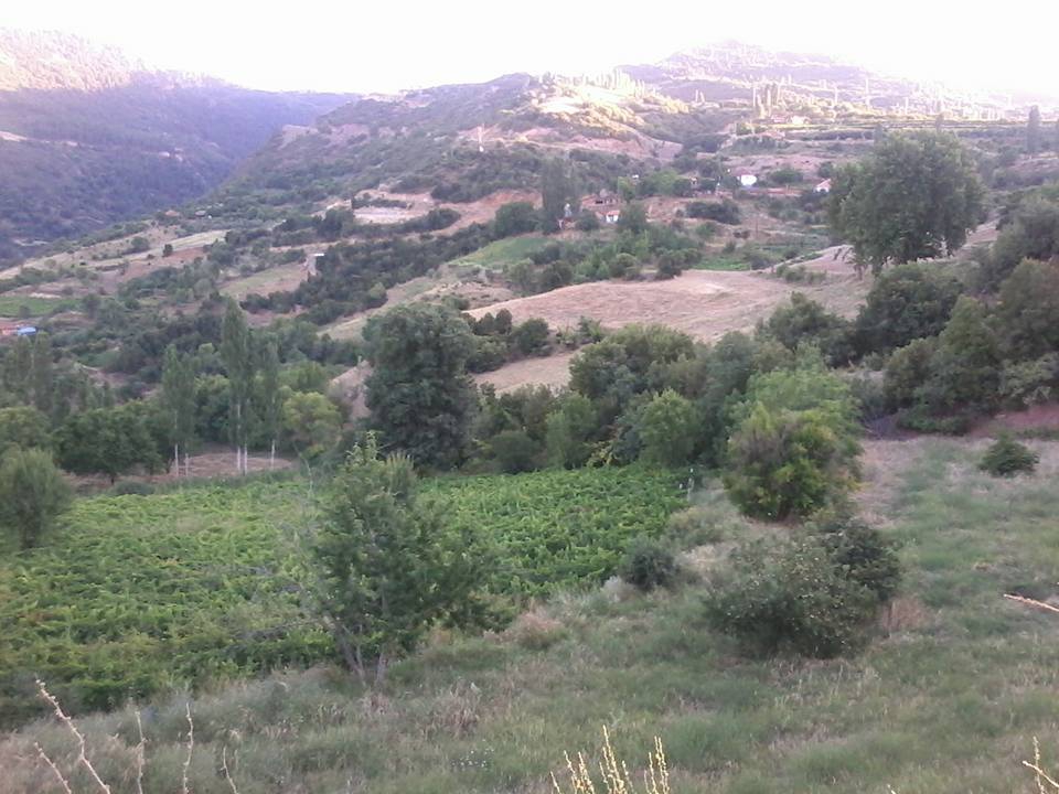 Alaşehir Kzluca Köyü Resimleri 3