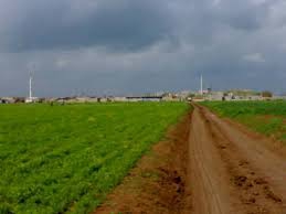 Kızıltepe Ekinlik Köyü Resimleri 1