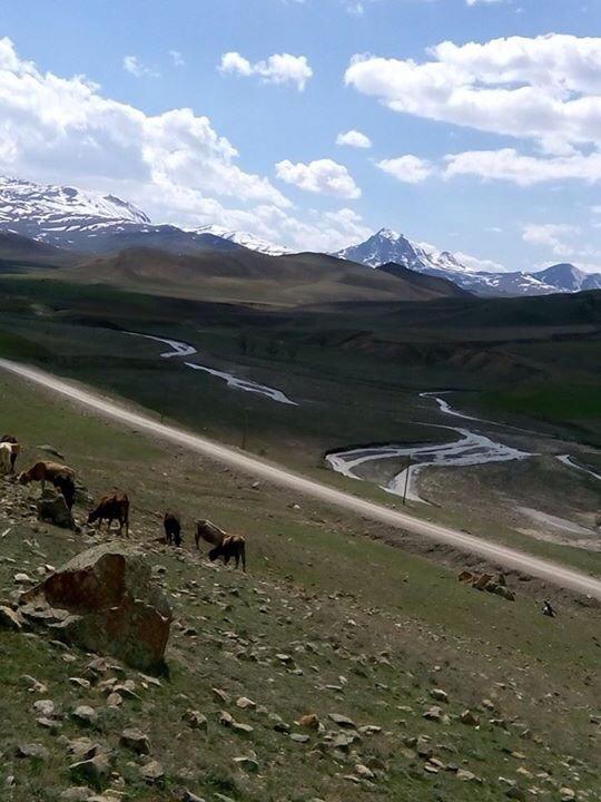 Horasan Alagöz Köyü Resimleri 5