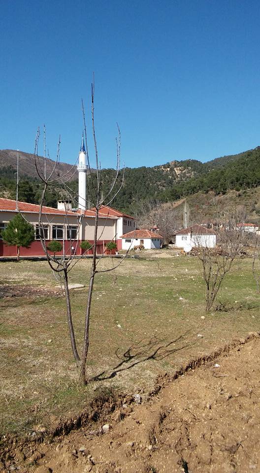 Alaşehir Sarıpınar Köyü Resimleri 6