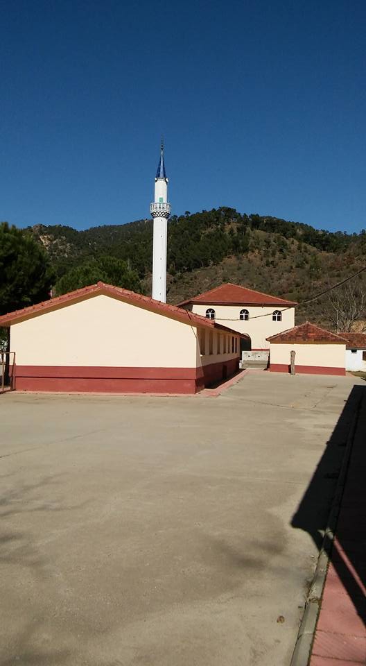 Alaşehir Sarıpınar Köyü Resimleri 7