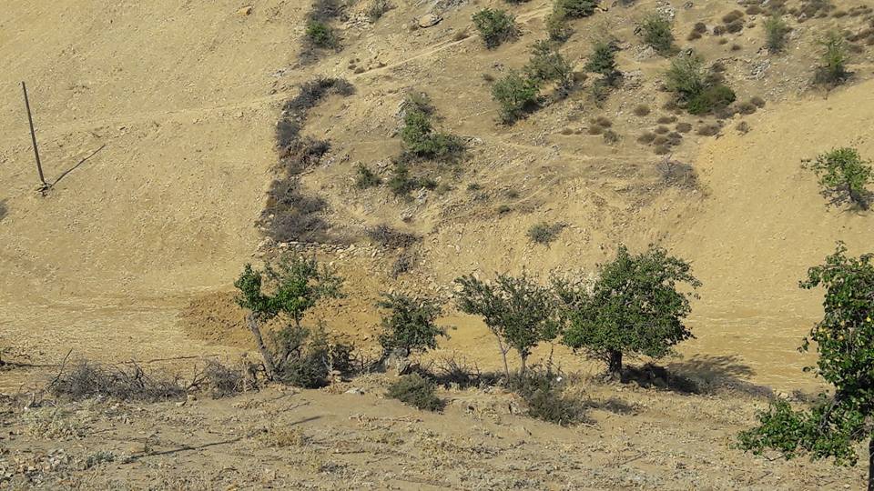 Alaşehir Serinyayla Köyü Resimleri 1