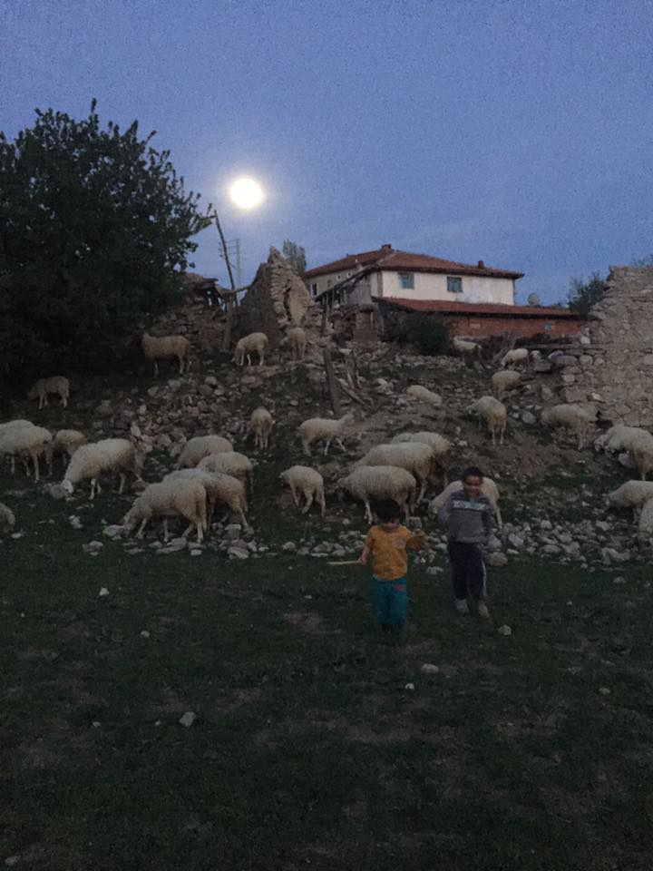 Afyon Hocalar Kozluca Köyü Resimleri 1