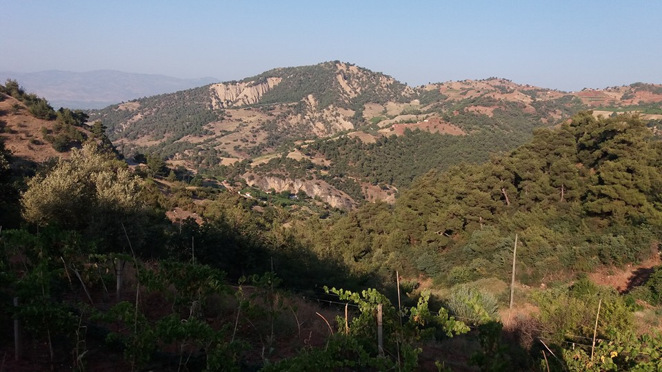 Alaşehir Soğukyurt Köyü Resimleri 2