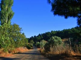 Alaşehir Soğukyurt Köyü Resimleri 3