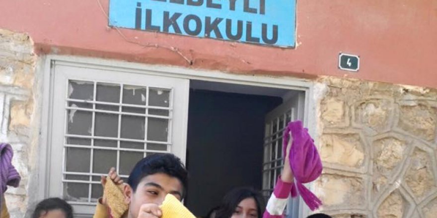 Kızıltepe Elbeyli Köyü Resimleri