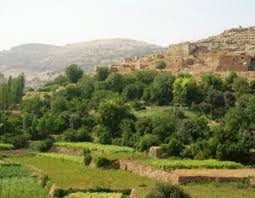 Kızıltepe Erdem Köyü Resimleri 1