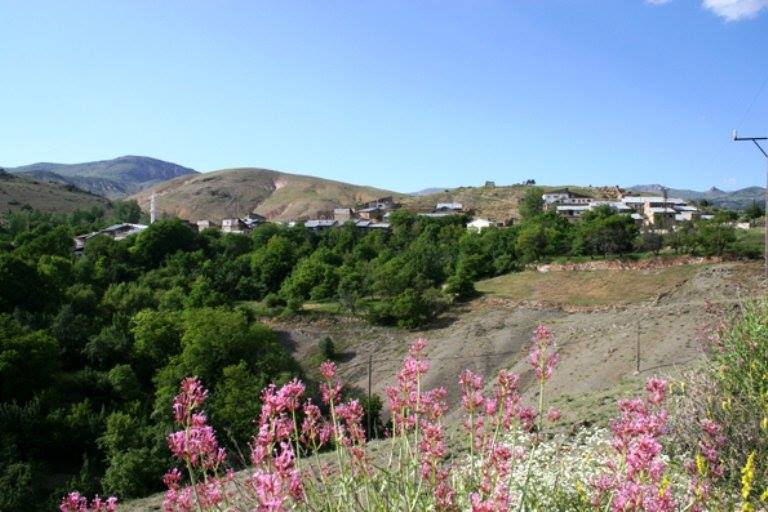 Gümüşhane  Bahçecik  Köyü Resimleri 4