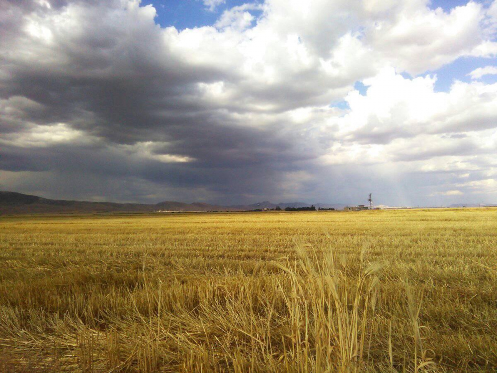 Kızıltepe Esenli Köyü Resimleri 2