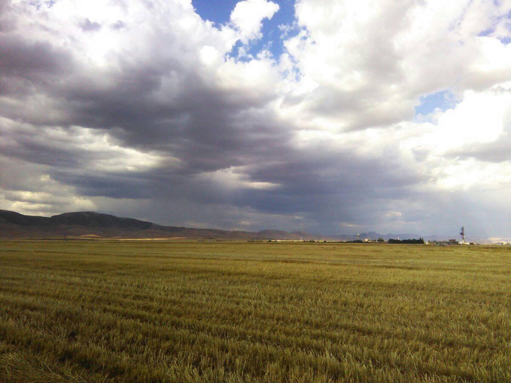Kızıltepe Esenli Köyü Resimleri 3