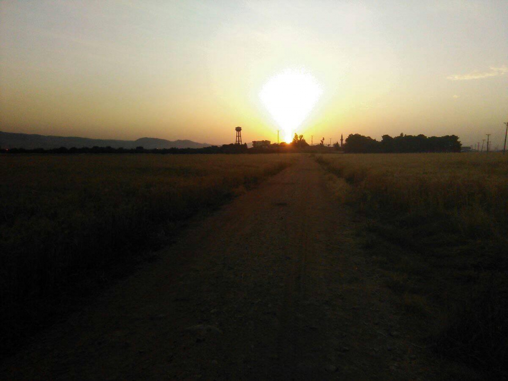 Kızıltepe Esenli Köyü Resimleri 4