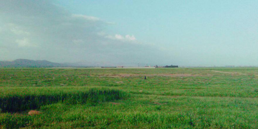 Kızıltepe Esenli Köyü Resimleri