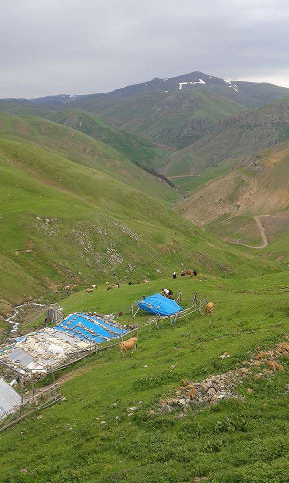 Gümüşhane  Beşoba  Köyü Resimleri 4