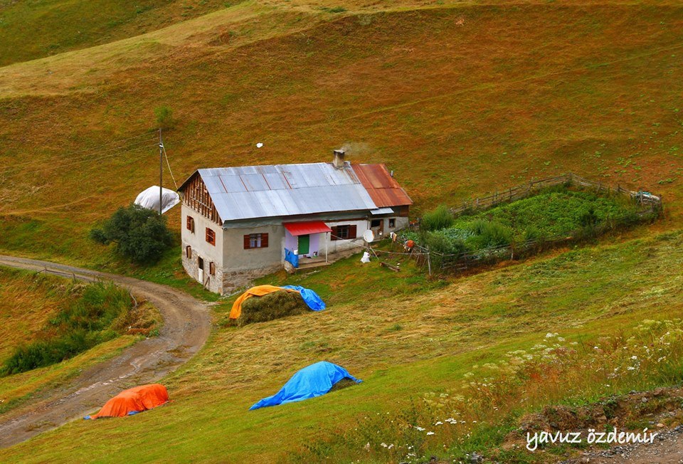Gümüşhane  Boğalı  Köyü Resimleri 3
