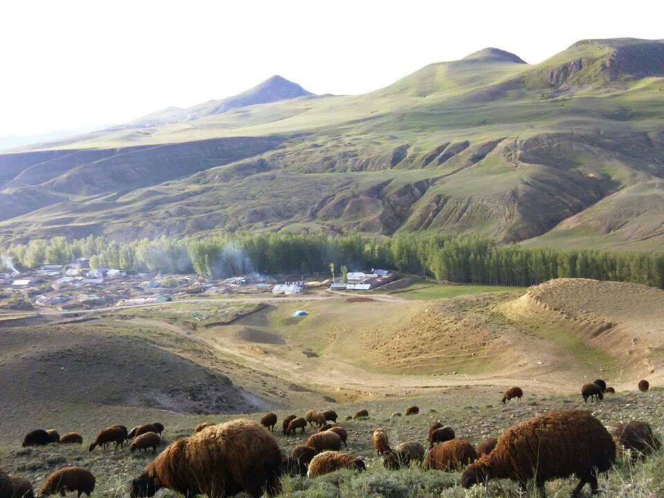 Horasan Ardı Köyü Resimleri 1