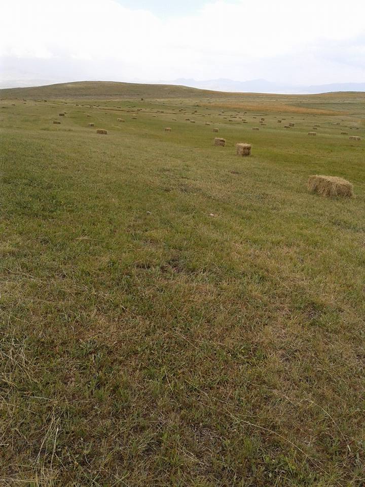 Horasan Ardı Köyü Resimleri 10