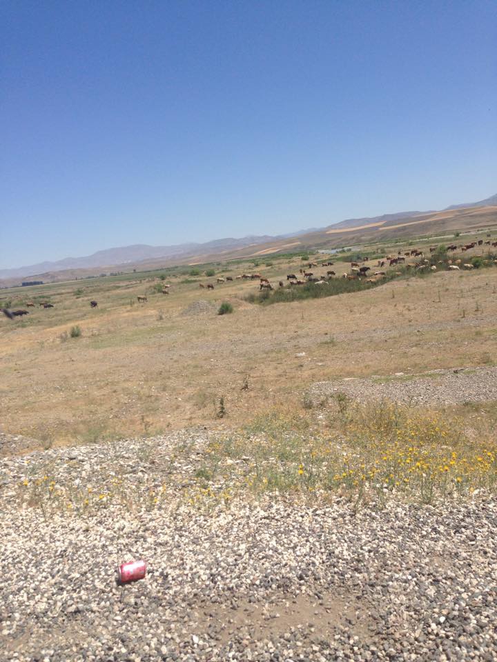 Horasan Ardı Köyü Resimleri 7