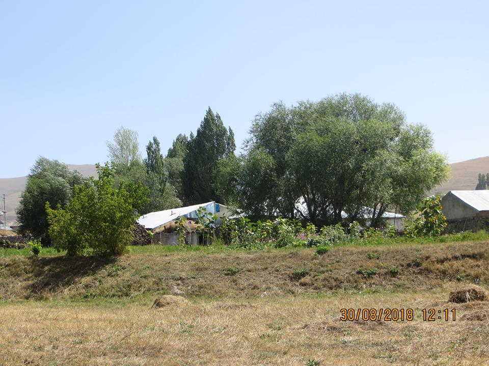 Horasan Arpaçayır Köyü Resimleri 7