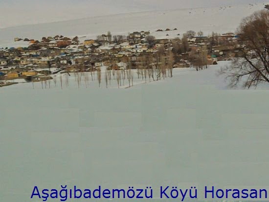 Horasan Aşağıbademözü Köyü Resimleri 1