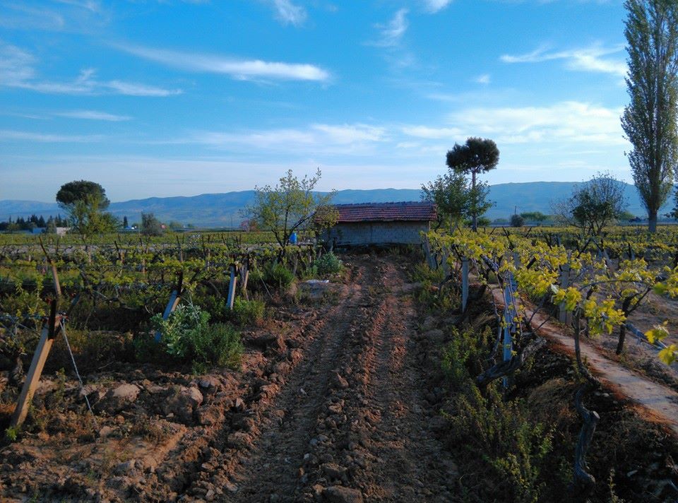 Alaşehir Şahyar Köyü Resimleri 1