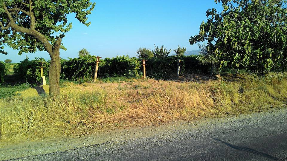 Alaşehir Toygar Köyü Resimleri 1