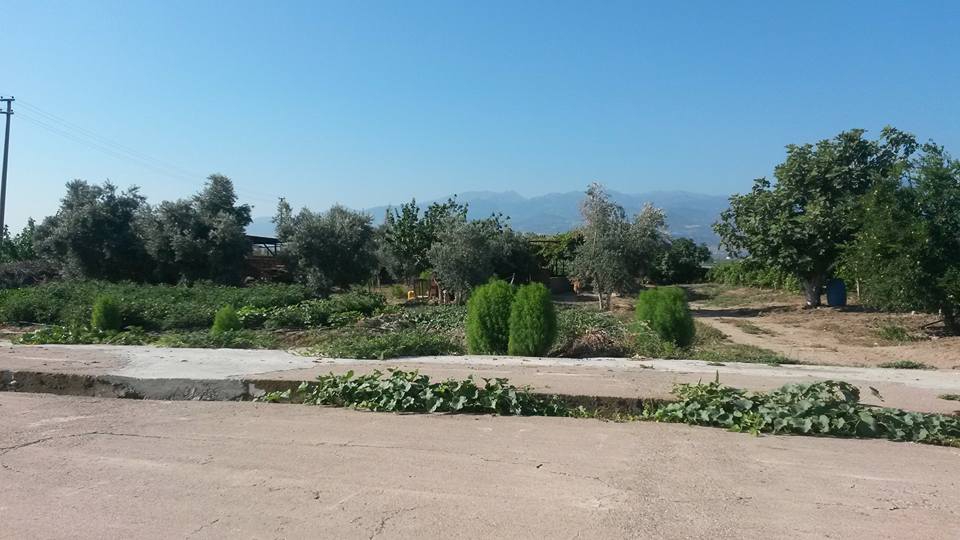 Alaşehir Toygar Köyü Resimleri 3