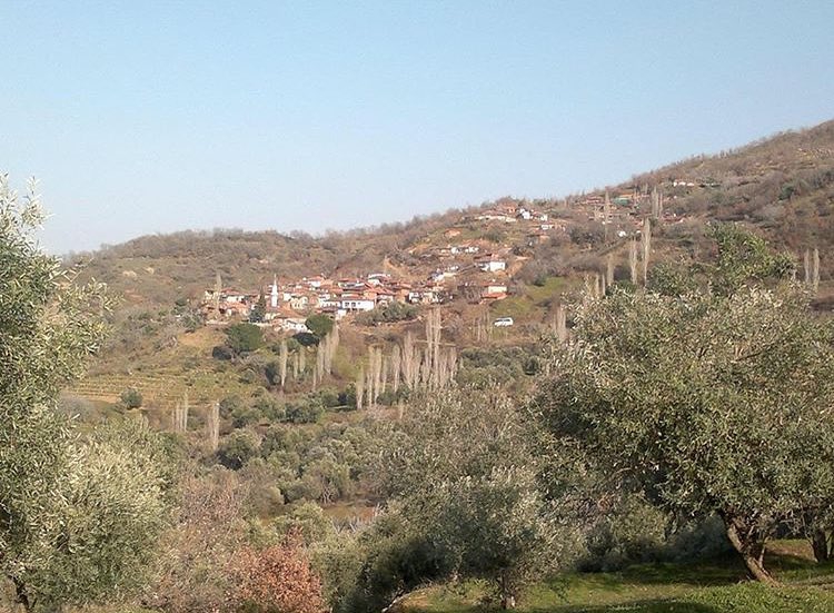 Alaşehir Yahyaalcı Köyü Resimleri 1