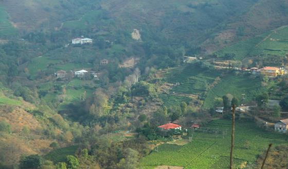 Alaşehir Yeniköy Köyü Resimleri 1