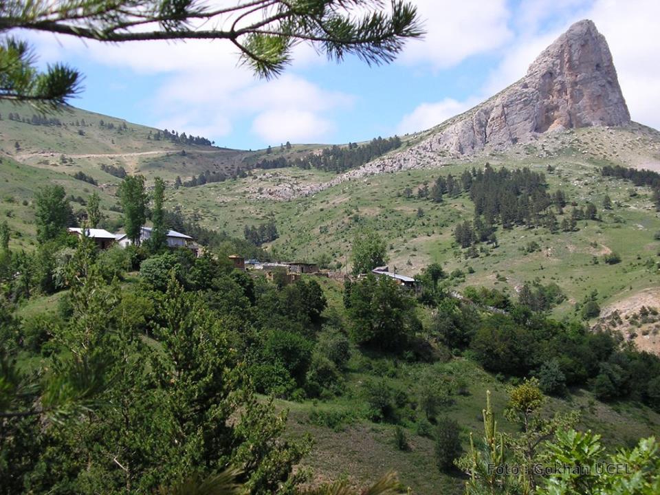 Gümüşhane  Boyluca  Köyü Resimleri 2