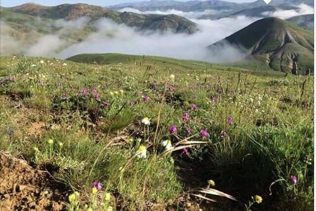 Gümüşhane  Çalık  Köyü Resimleri 4