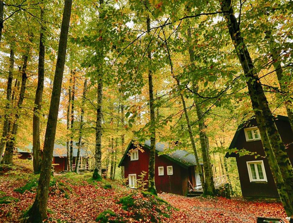 Gümüşhane  Çamlı  Köyü Resimleri 6