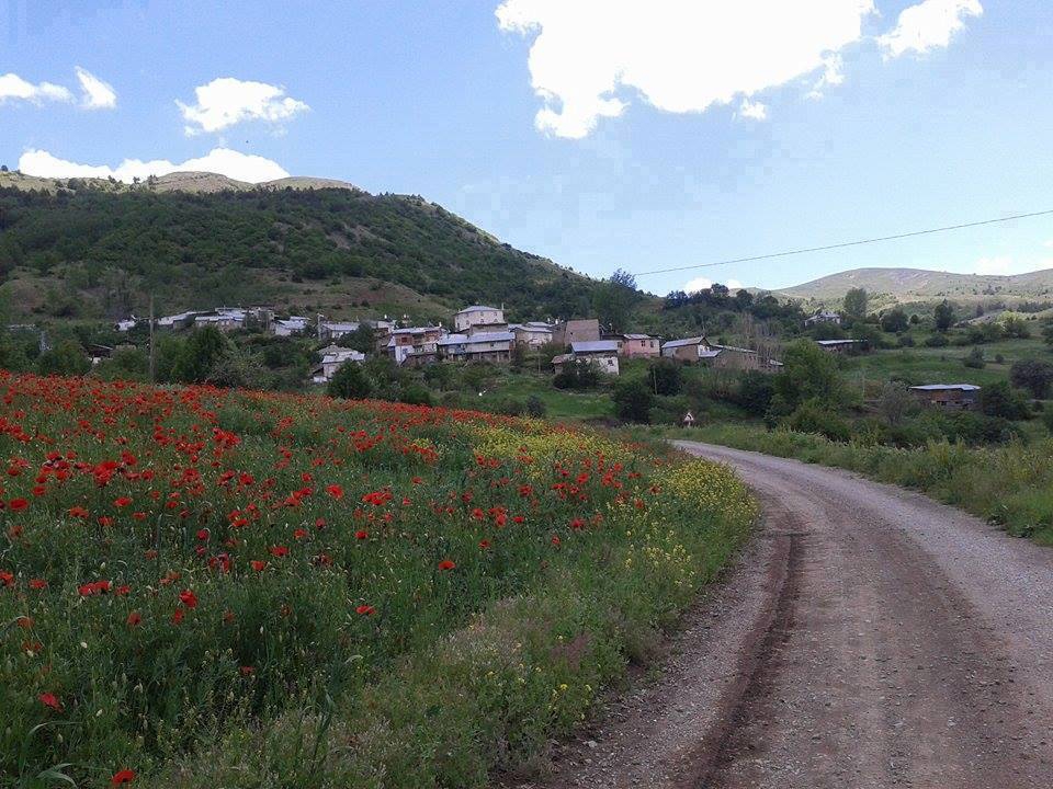 Gümüşhane  Çayırardı  Köyü Resimleri 7