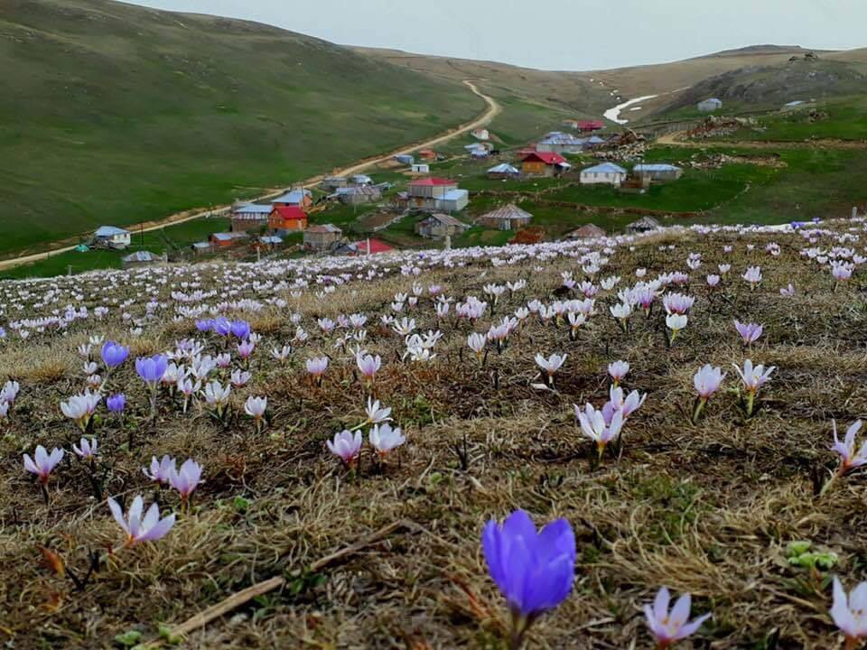 Gümüşhane  Çorak  Köyü Resimleri 3