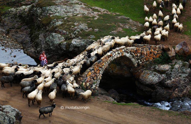 Gümüşhane  Çorak  Köyü Resimleri 5