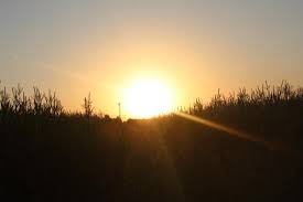 Kızıltepe Göllü Köyü Resimleri 1