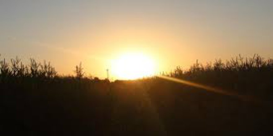 Kızıltepe Göllü Köyü Resimleri