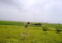 Kızıltepe Gözlüce Köyü Resimleri 2