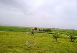 Kızıltepe Gümüşdere Köyü Resimleri 3