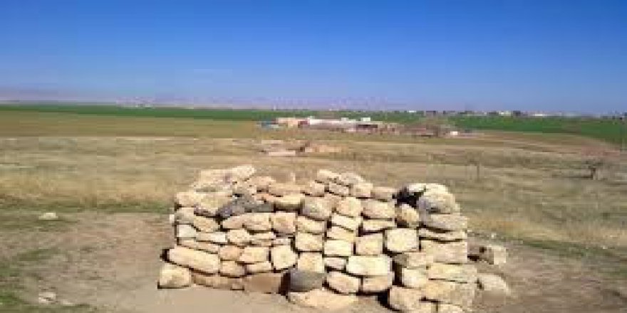 Kızıltepe Gümüşdere Köyü Resimleri