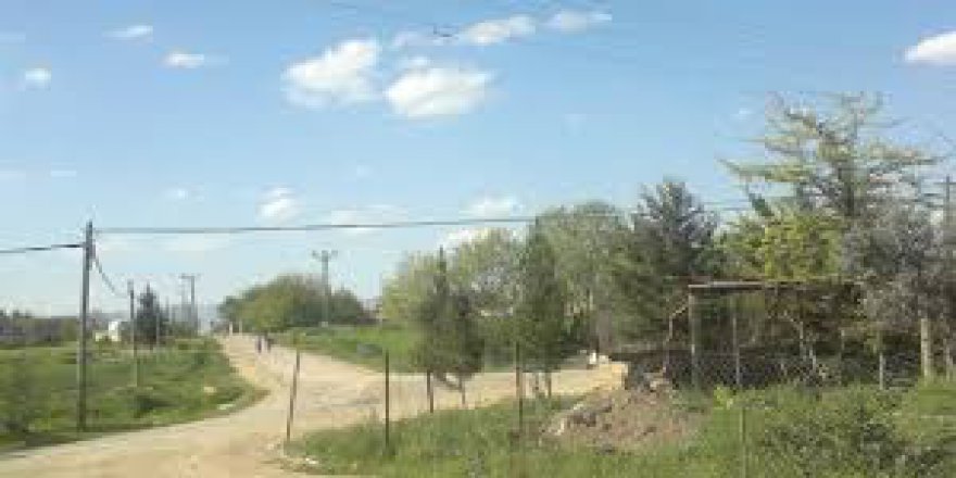 Kızıltepe Güneştepe Köyü Resimleri